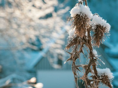 Apartment Ferienhaus in Ruhe & Natur im Wildenburg - Outdoor photo 35