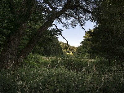 Holiday room Superior Themenzimmer (EZ) - Outdoor photo 54