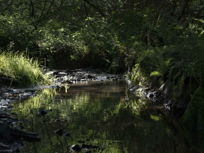 Holiday room Superior Themenzimmer (EZ) - Outdoor photo 55