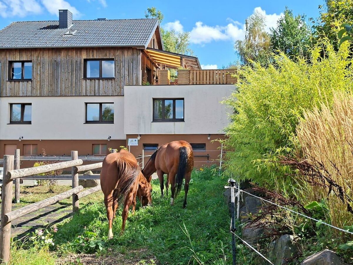 Apartment Große Ferienwohnung auf ruhigem Hof im Westerwald - Outdoor photo 2