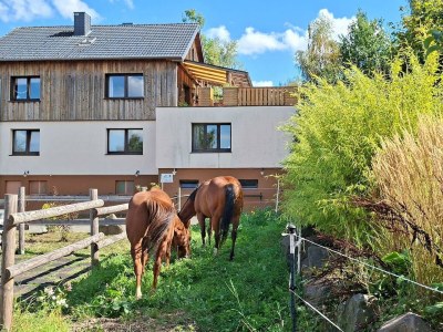 Apartment Große Ferienwohnung auf ruhigem Hof im Westerwald - Outdoor photo 2