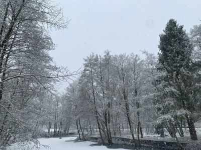 Holiday room Doppelzimmer Premium - Outdoor photo 14