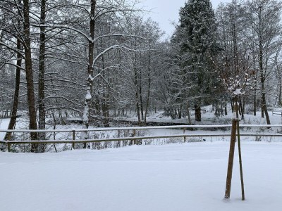 Holiday room Doppelzimmer Premium - Outdoor photo 15