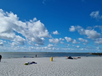 Chalet No title - Environment photo 31