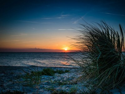 Holiday apartment Ferienwohnung Freude St. Peter-Ording - Environment photo 13