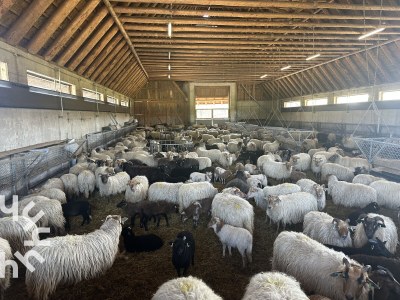 Holiday house Havelte - DG1813 - Environment photo 23