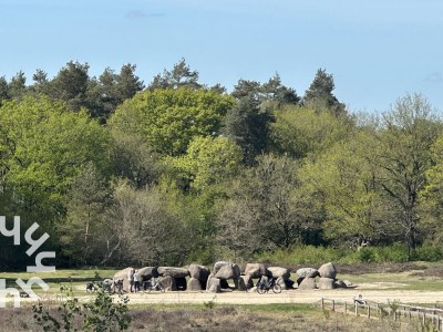 Holiday house Havelte - DG1813 - Environment photo 25