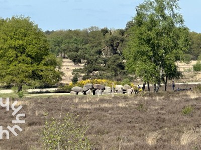 Holiday house Havelte - DG1813 - Environment photo 26