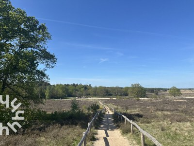 Holiday house Havelte - DG1813 - Environment photo 27