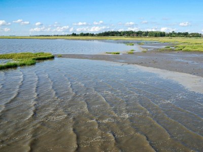 Holiday apartment Watt-Lounge - Environment photo 20