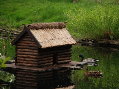 Holiday apartment 2 at House Schultka - Outdoor photo 4