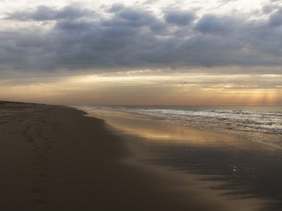 Holiday house Petten aan Zee holiday home - Environment photo 17