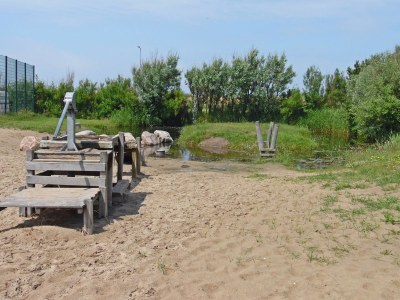 Holiday house Petten aan Zee holiday home - Environment photo 18