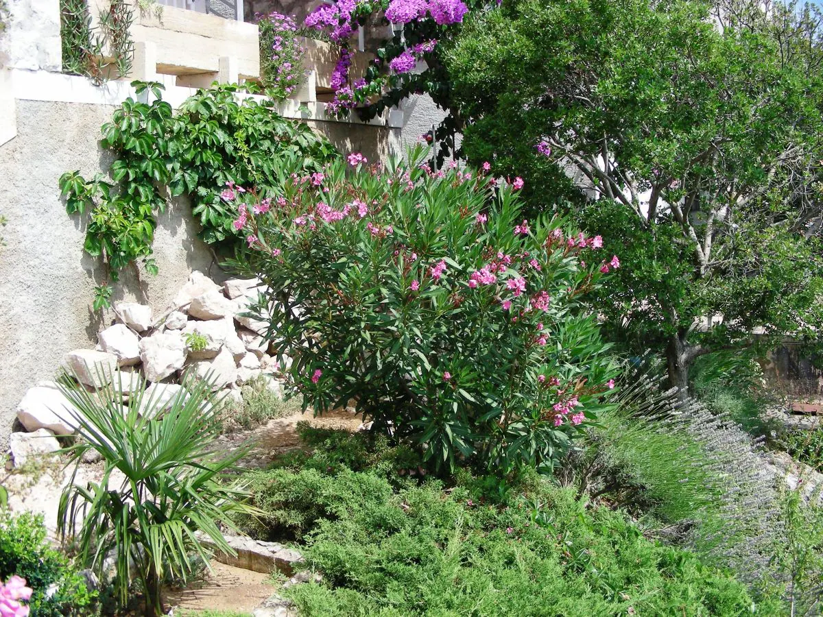 Holiday apartment Kornaten - Outdoor photo 3