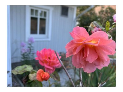 Holiday house No title - Features photo 14