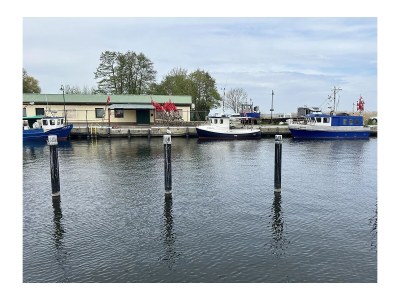 Holiday house No title - Environment photo 21