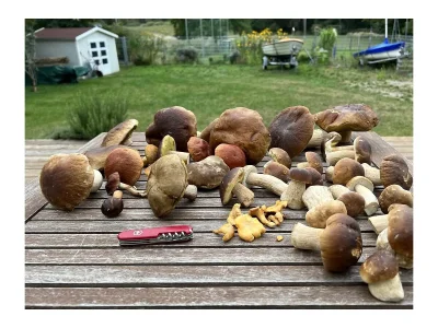 Holiday house No title - Environment photo 23