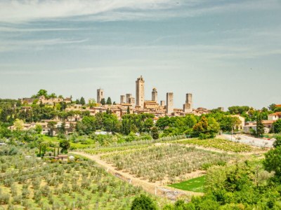 Holiday house Belvedere di Bolgheri - Environment photo 25