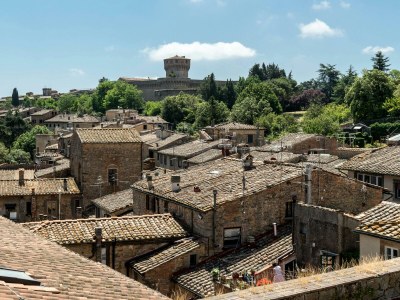 Villa Il Felciaio - Environment photo 28