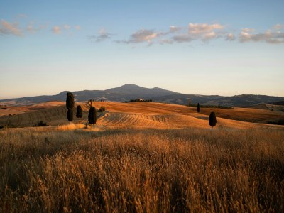 Villa Il Felciaio - Environment photo 29