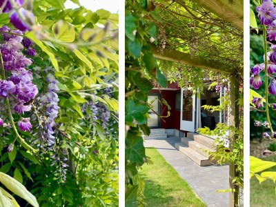 Holiday house Campanula 211 - Outdoor photo 15