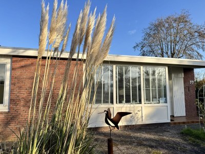 Holiday house Eureka 077 - Outdoor photo 14