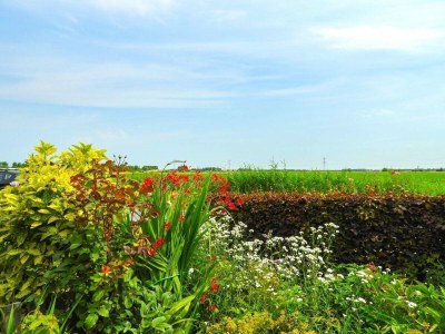 Holiday house VZ006 Vakantiehuis Hoek - Outdoor photo 19