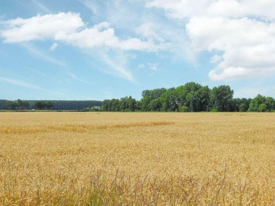 Holiday house VZ006 Vakantiehuis Hoek - Outdoor photo 22