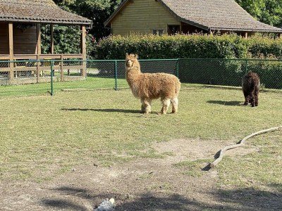 Chalet VZ100 Chalet Ossenisse - Outdoor photo 19