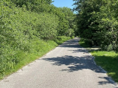 Holiday house VZ1007 Vakantiebungalow in Oostkapelle - Outdoor photo 10