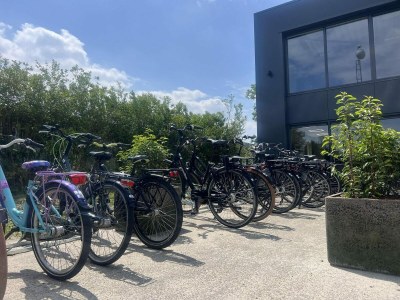 Chalet VZ1028 Luxe vakantiechalet in Scherpenisse - Outdoor photo 30