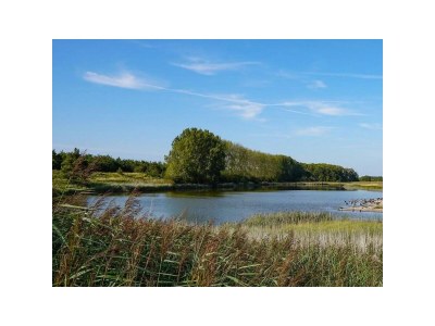 Chalet VZ1035 Luxe vakantiechalet in Scherpenisse - Outdoor photo 22