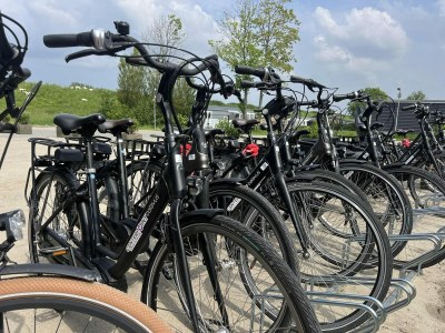 Chalet VZ1035 Luxe vakantiechalet in Scherpenisse - Outdoor photo 28