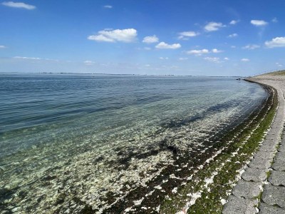 Holiday house VZ1069 Vakantiewoning in Wemeldinge - Outdoor photo 15