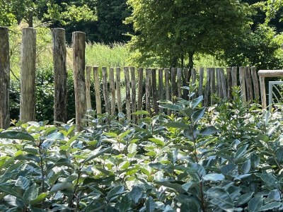 Holiday house VZ1069 Vakantiewoning in Wemeldinge - Outdoor photo 28