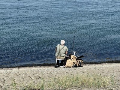 Holiday house VZ1069 Vakantiewoning in Wemeldinge - Outdoor photo 29