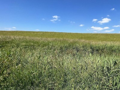 Holiday house VZ1069 Vakantiewoning in Wemeldinge - Outdoor photo 41