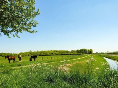 Holiday house VZ110 Vakantiehuis Zoutelande - Outdoor photo 14