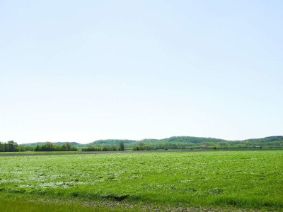 Holiday house VZ111 Vakantiehuis Zoutelande - Outdoor photo 17