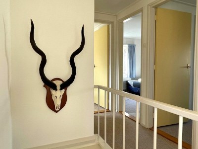 Holiday house VZ1133 Vakantiehuis in Koudekerke - Outdoor photo 9