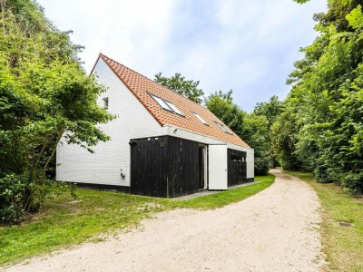 Holiday house VZ1135 Vrijstaande vakantiewoning in Koudekerke - Outdoor photo 19