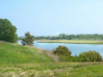 Chalet VZ1150 Vakantiechalet in Scherpenisse - Outdoor photo 10