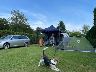 Chalet VZ1150 Vakantiechalet in Scherpenisse - Outdoor photo 68