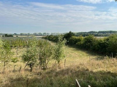 Holiday house VZ1167 Half vrijstaande vakantiewoning in Oostkapelle - Outdoor photo 19