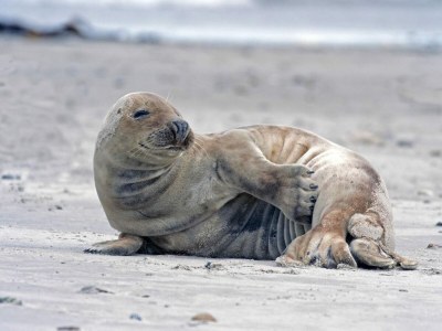 Holiday house VZ1178 Vakantiehuis in Kamperland - Outdoor photo 19