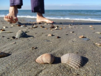 Holiday house VZ1178 Vakantiehuis in Kamperland - Outdoor photo 24