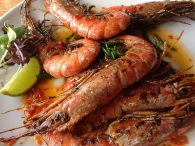 Holiday house VZ1178 Vakantiehuis in Kamperland - Outdoor photo 32