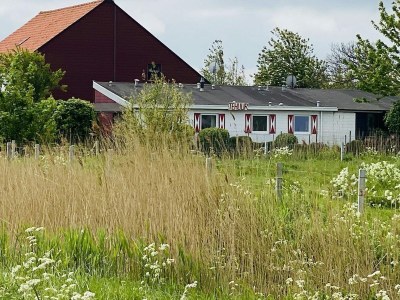 Holiday house VZ182 Vakantiehuis Kerkwerve - Outdoor photo 2