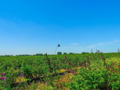 Holiday house VZ206 Vakantiehuisje Sluis - Outdoor photo 17