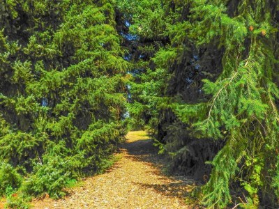 Holiday house VZ206 Vakantiehuisje Sluis - Outdoor photo 21